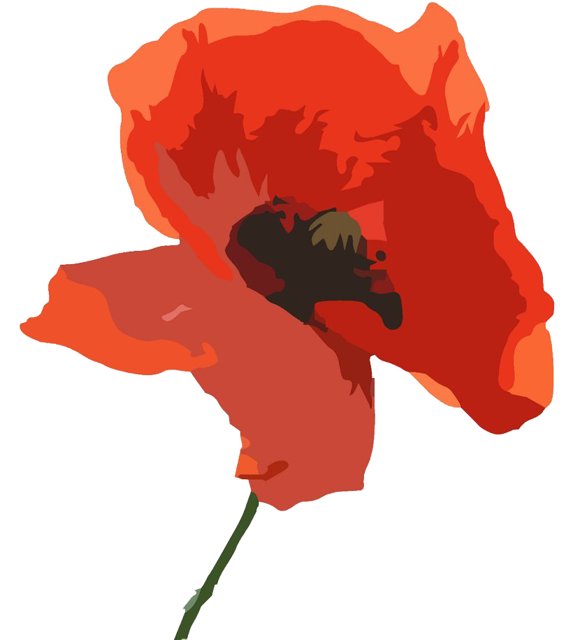 Remembrance Day Poppy Flower Free PNG Image PNG Arts