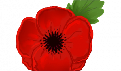 Remembrance Day Poppy PNG Image Transparent PNG Arts