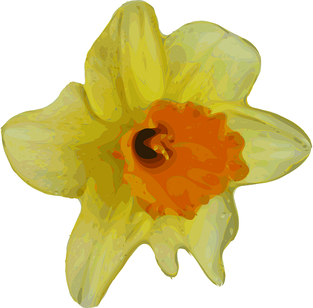 Gele narcis bloem PNG Afbeelding