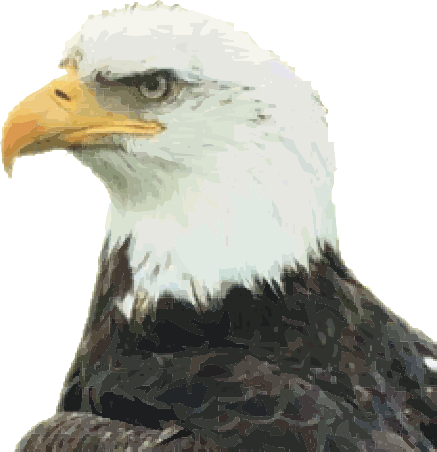 Eagle Head Png Transparent Image Png Arts
