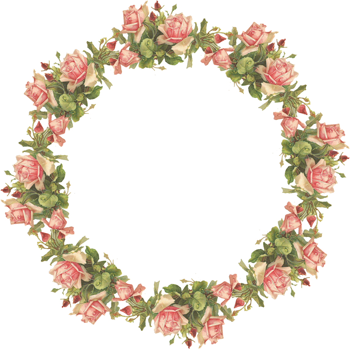 Imagem transparente de quadro de flor