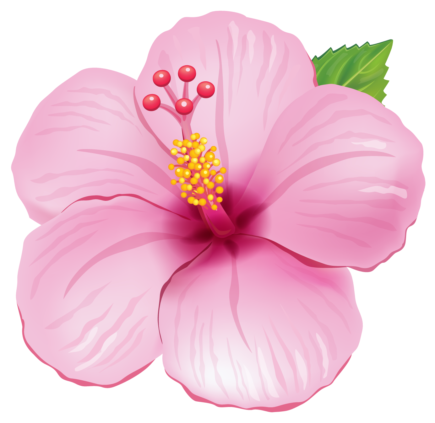 Flower PNG Picture | PNG Arts