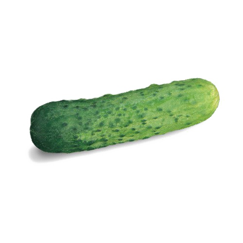 Gherkin PNG High-Quality Image