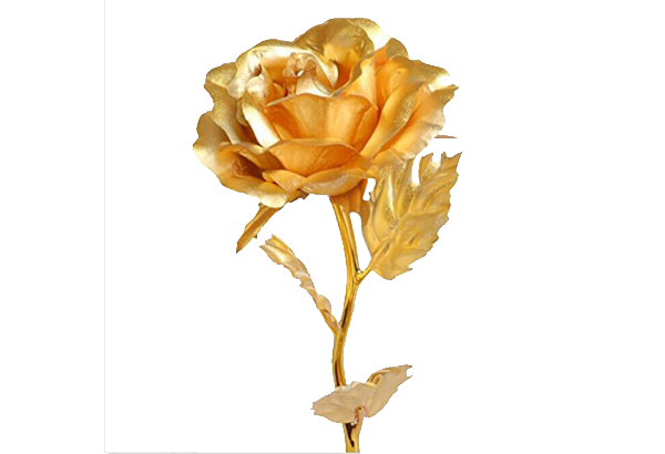 Golden Rose PNG Download Afbeelding