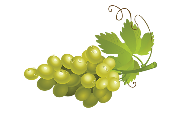 Green Grapes PNG High-Quality Image
