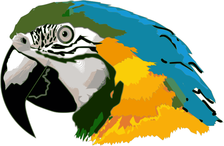 Macaw Wajah PNG Picture
