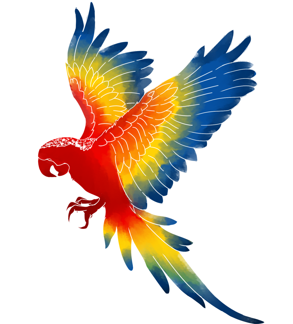 Macaw PNG bild