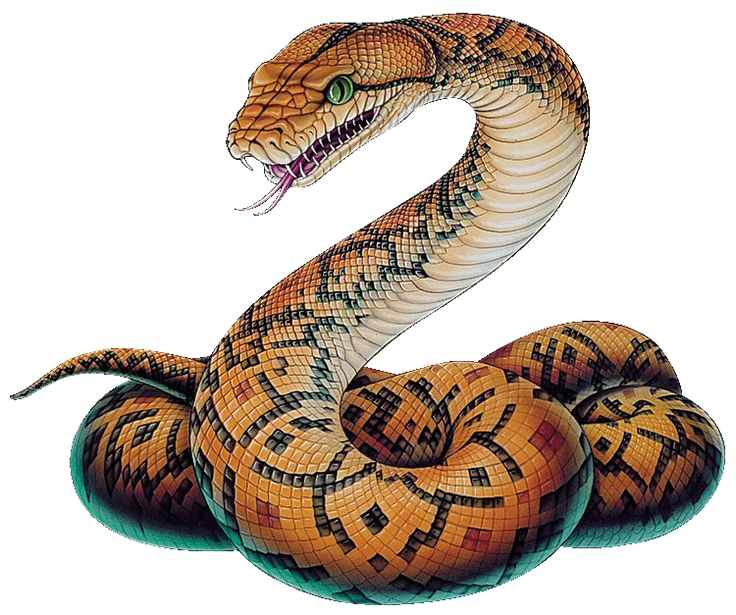 Змея PNG Image