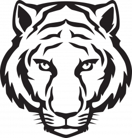 Tiger Face PNG Download Image