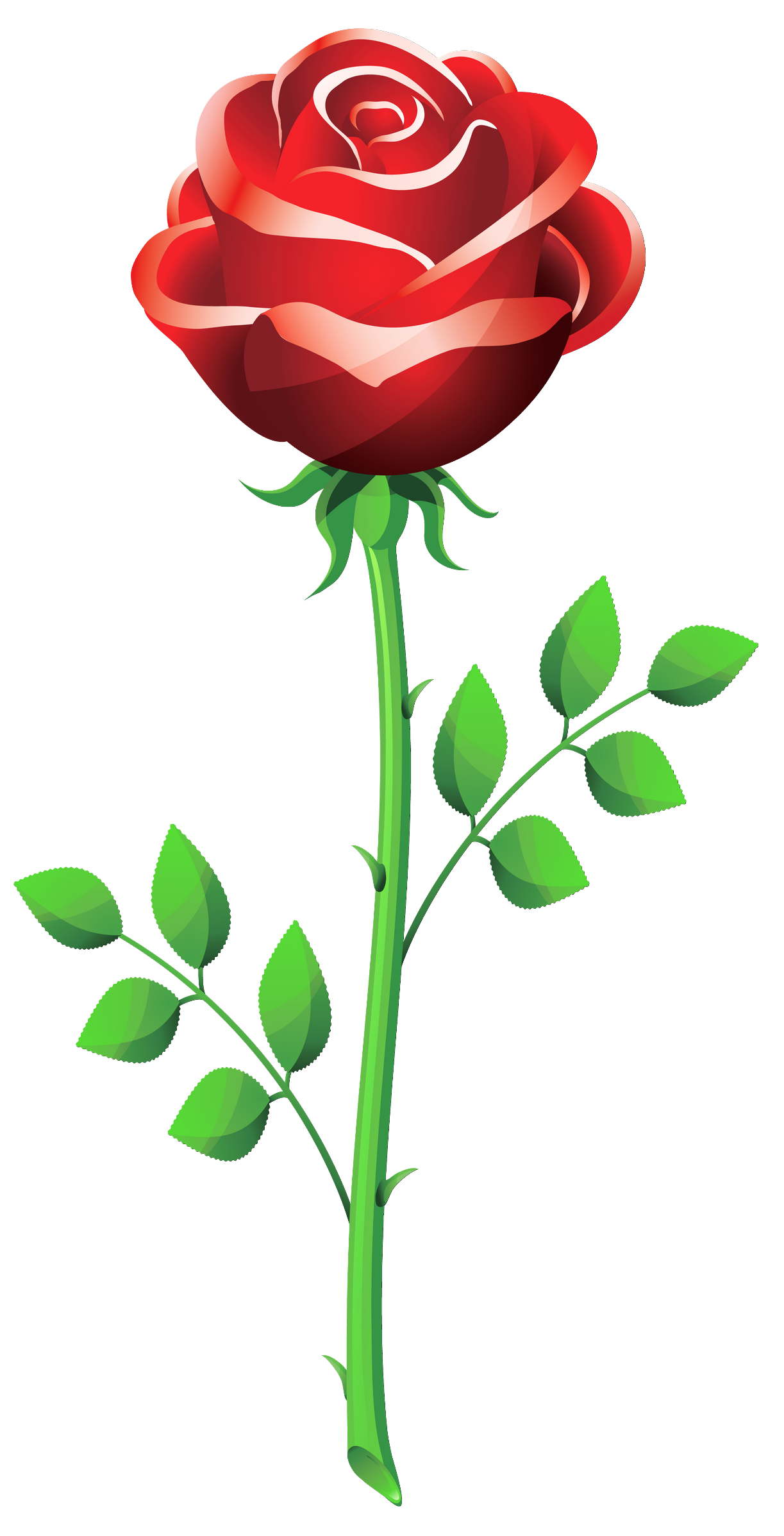 День Святого Валентина розы PNG изображения фон