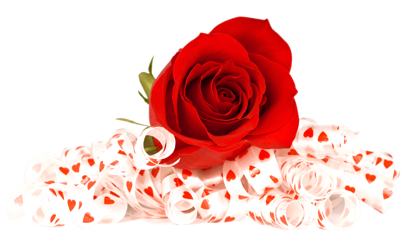 День Святого Валентина розы PNG фото