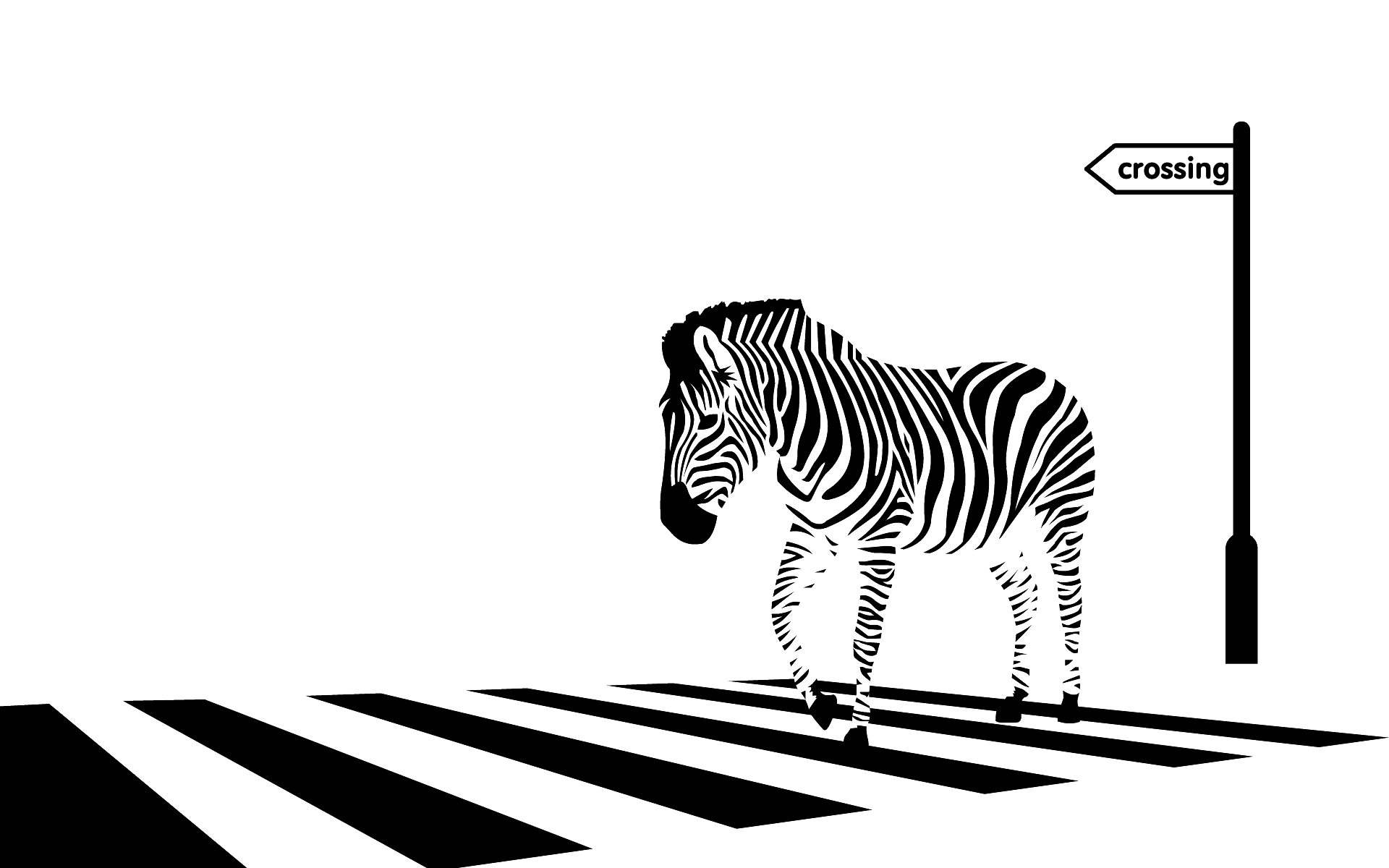 Zebra Crossing PNG Hoogwaardige Afbeelding