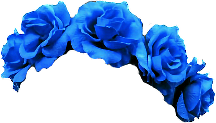 Bleu rose PNG image Transparent fond