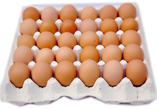 Huevos marrones PNG imagen Transparente