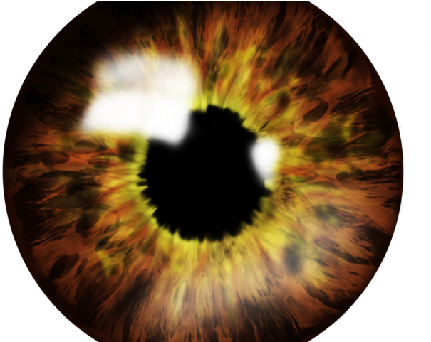 Brown olhos PNG imagem transparente fundo