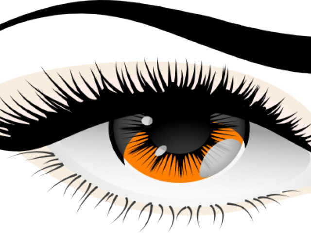 Brown Eyes Png Transparent Images Pictures Photos Png Arts