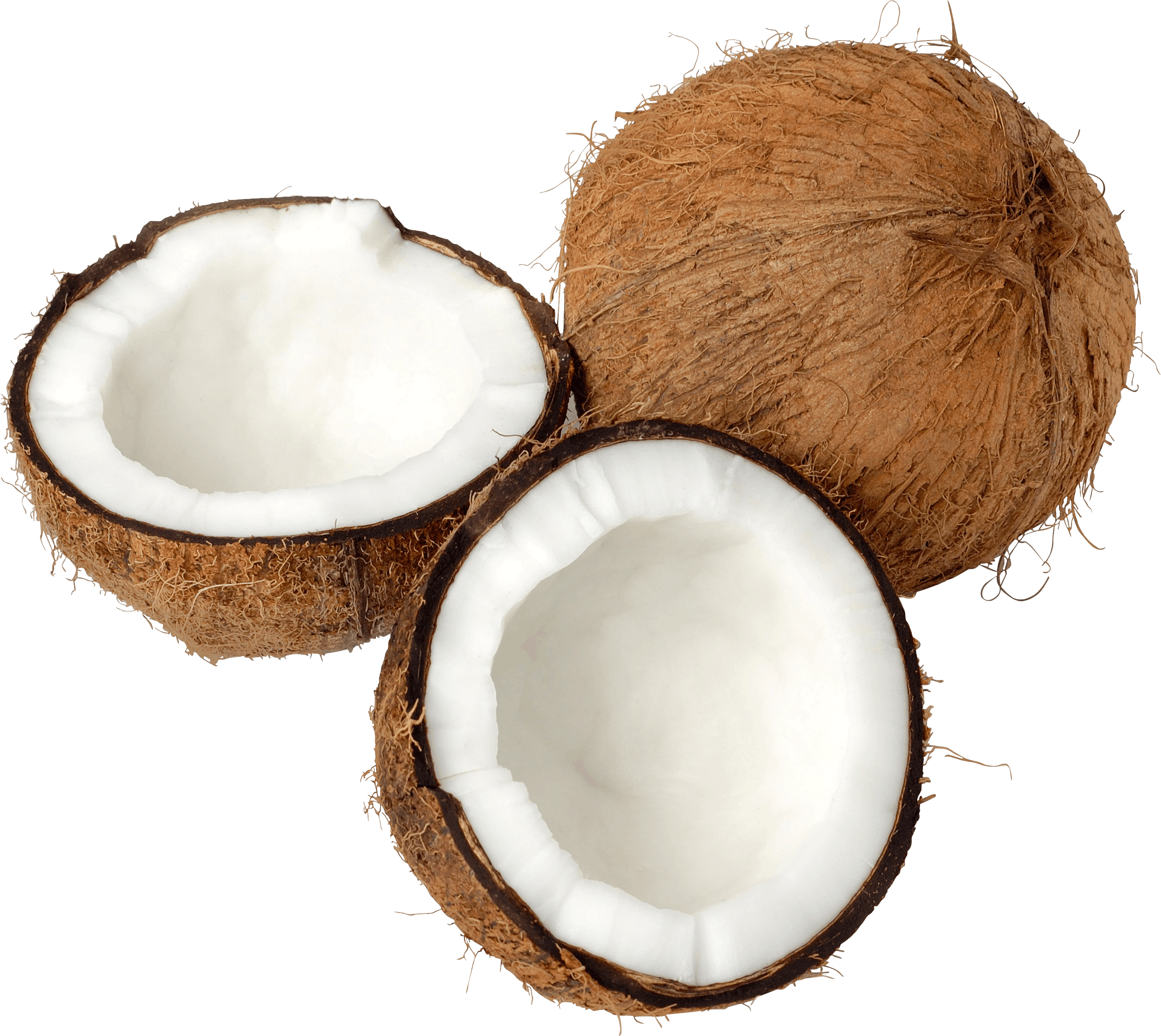Coco Fruta PNG Picture