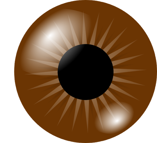 Immagine del PNG degli occhi marrone scuro
