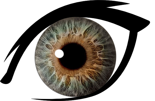 Dunkelbraune Augen PNG Transparentes Bild