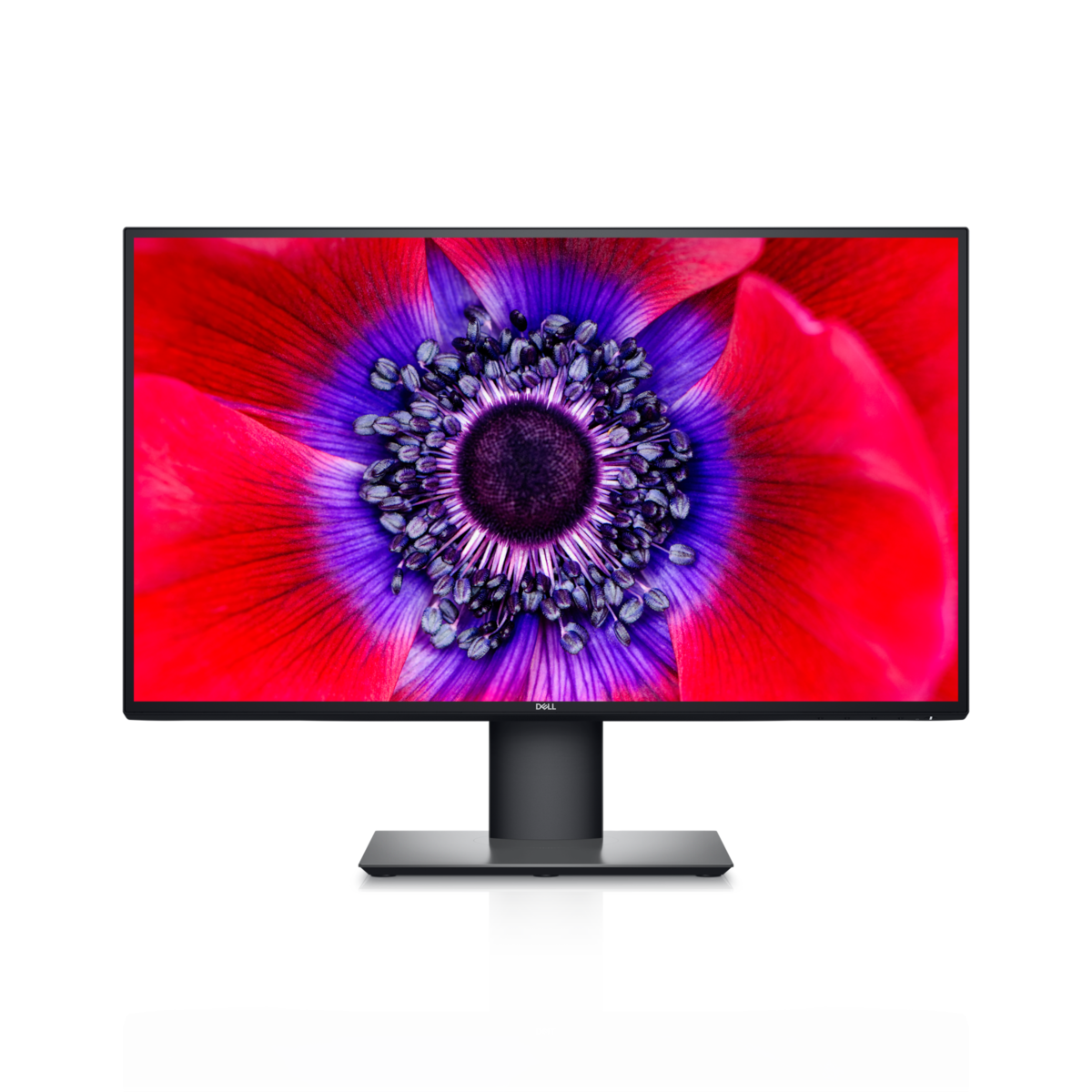 Dell UltraSharp Monitor Kostenloses PNG-Bild