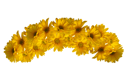 Crown Flower Descargar imagen PNG Transparente