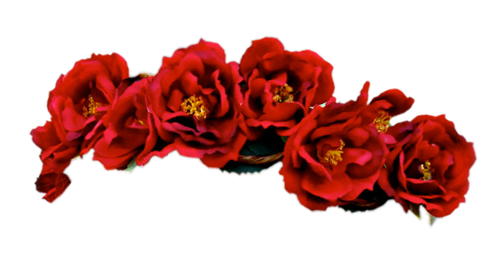 Imagen de fondo de la corona de la flor PNG