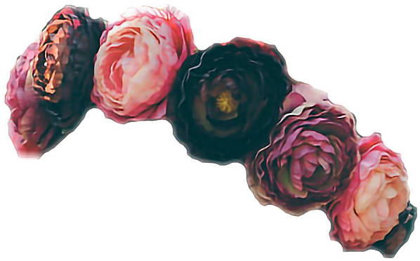 Image couronne fleur PNG image