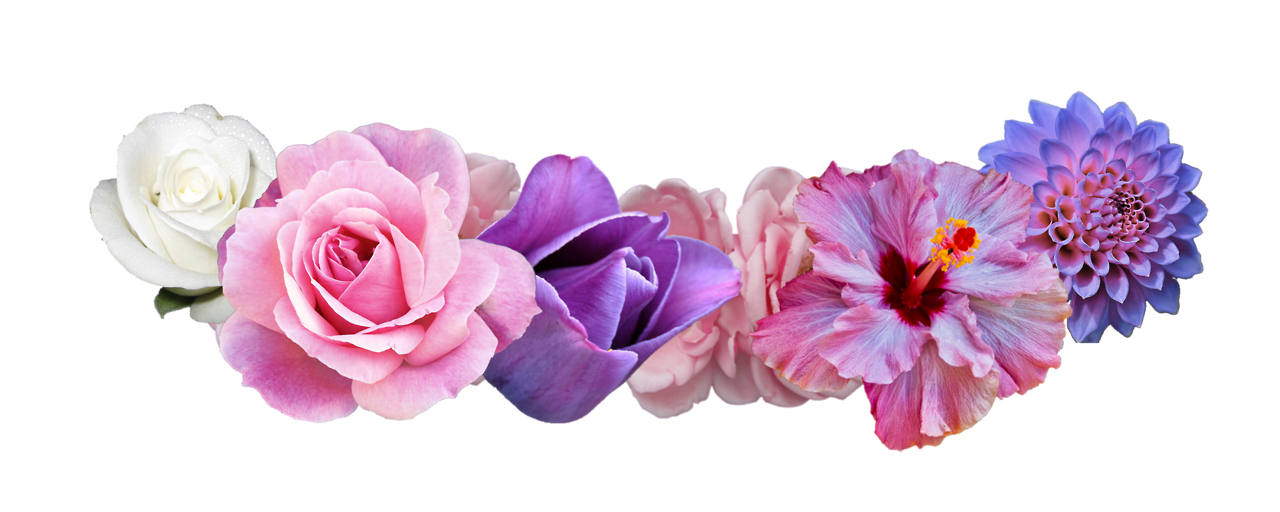 Fleur couronne PNG image