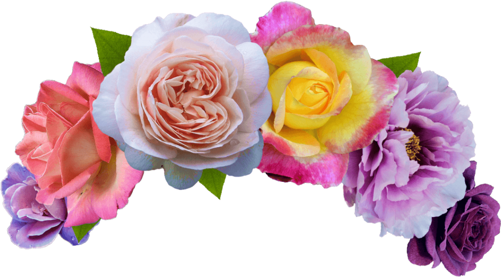 ดอกไม้มงกุฎ PNG ภาพโปร่งใส