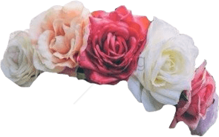 Розовый цветок корона PNG изображения фон