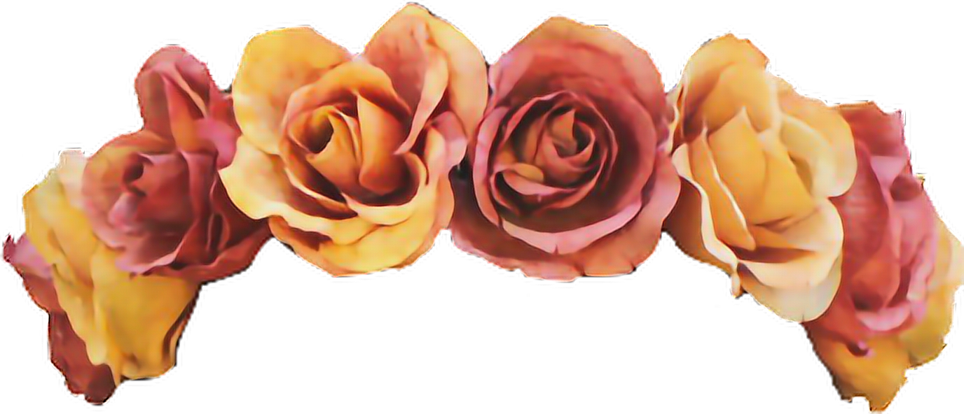 Розовый цветок корона PNG прозрачный образ