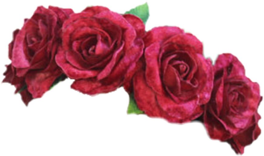 Розовый цветок корона прозрачное изображение