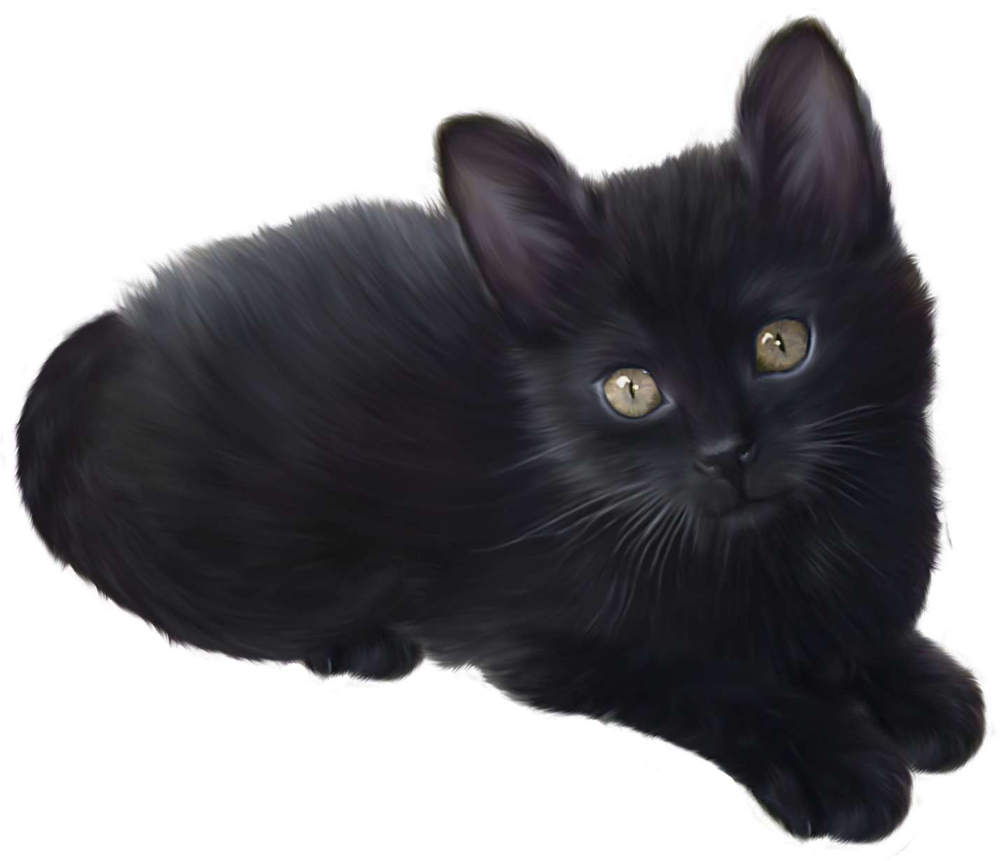 Gambar hitam kucing Transparan
