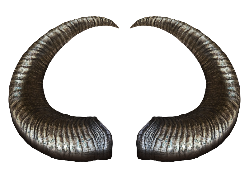 Horns domestic PNG Scarica limmagine