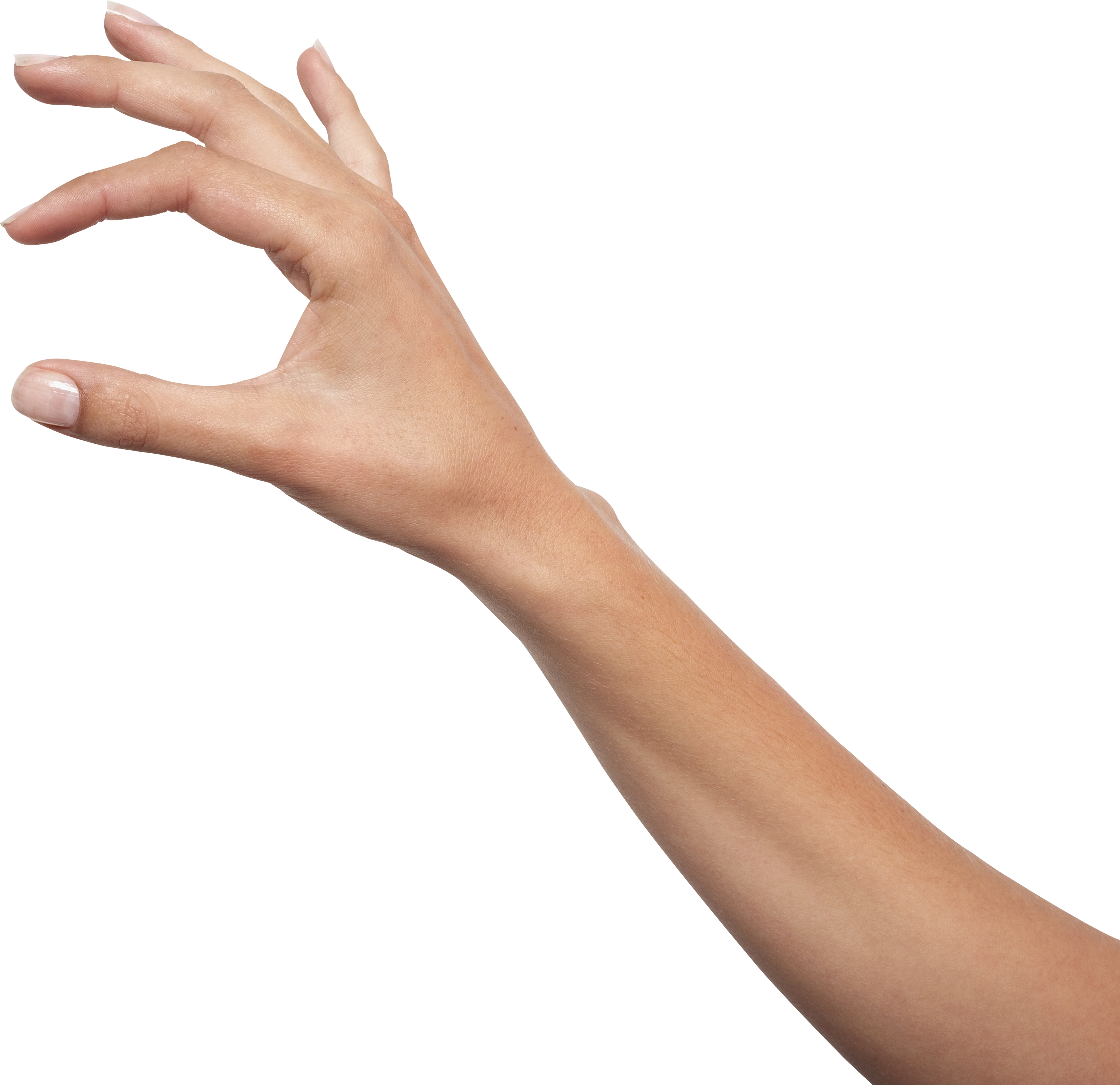 Женская рука бесплатно PNG Image