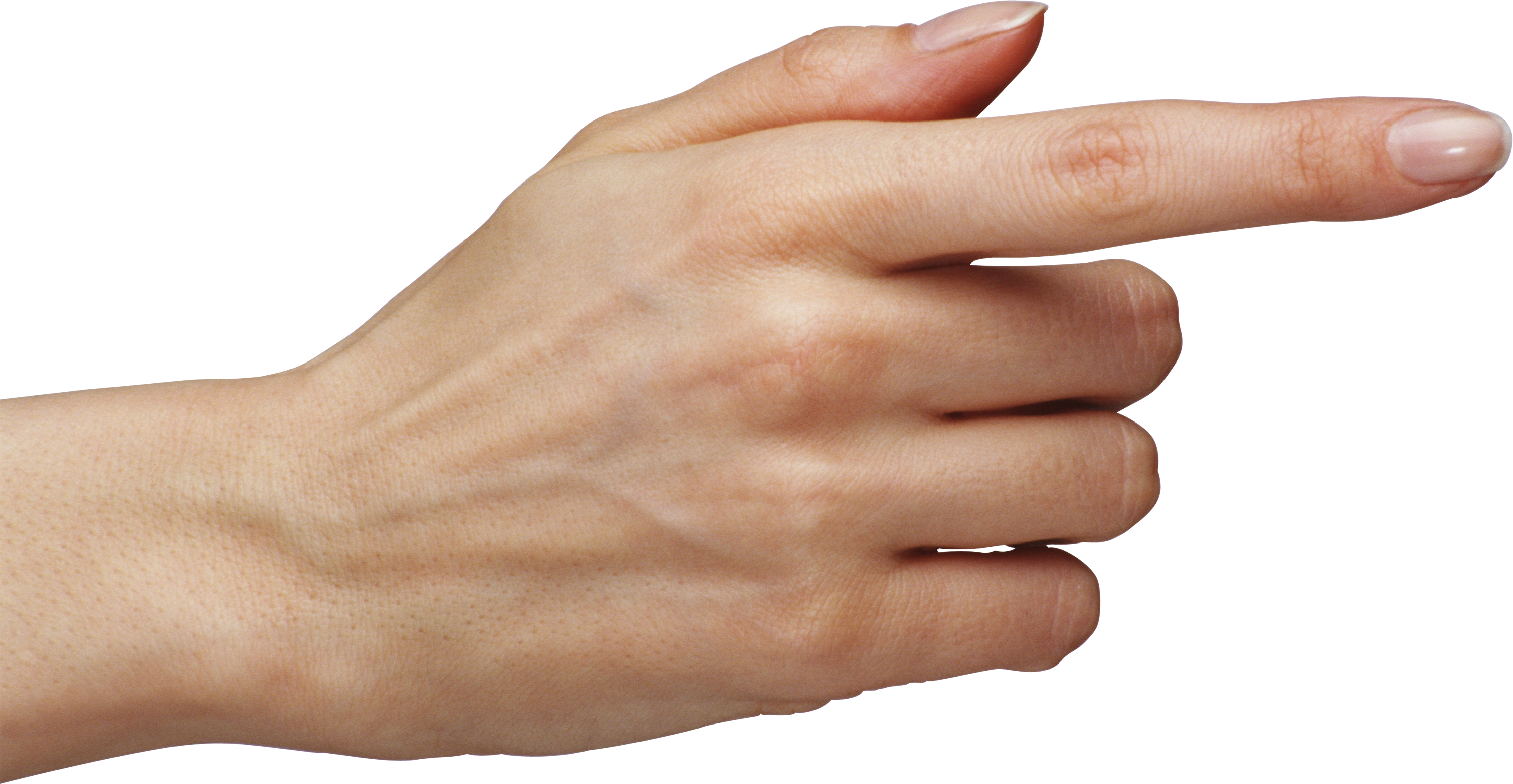 Женская рука PNG Скачать изображение