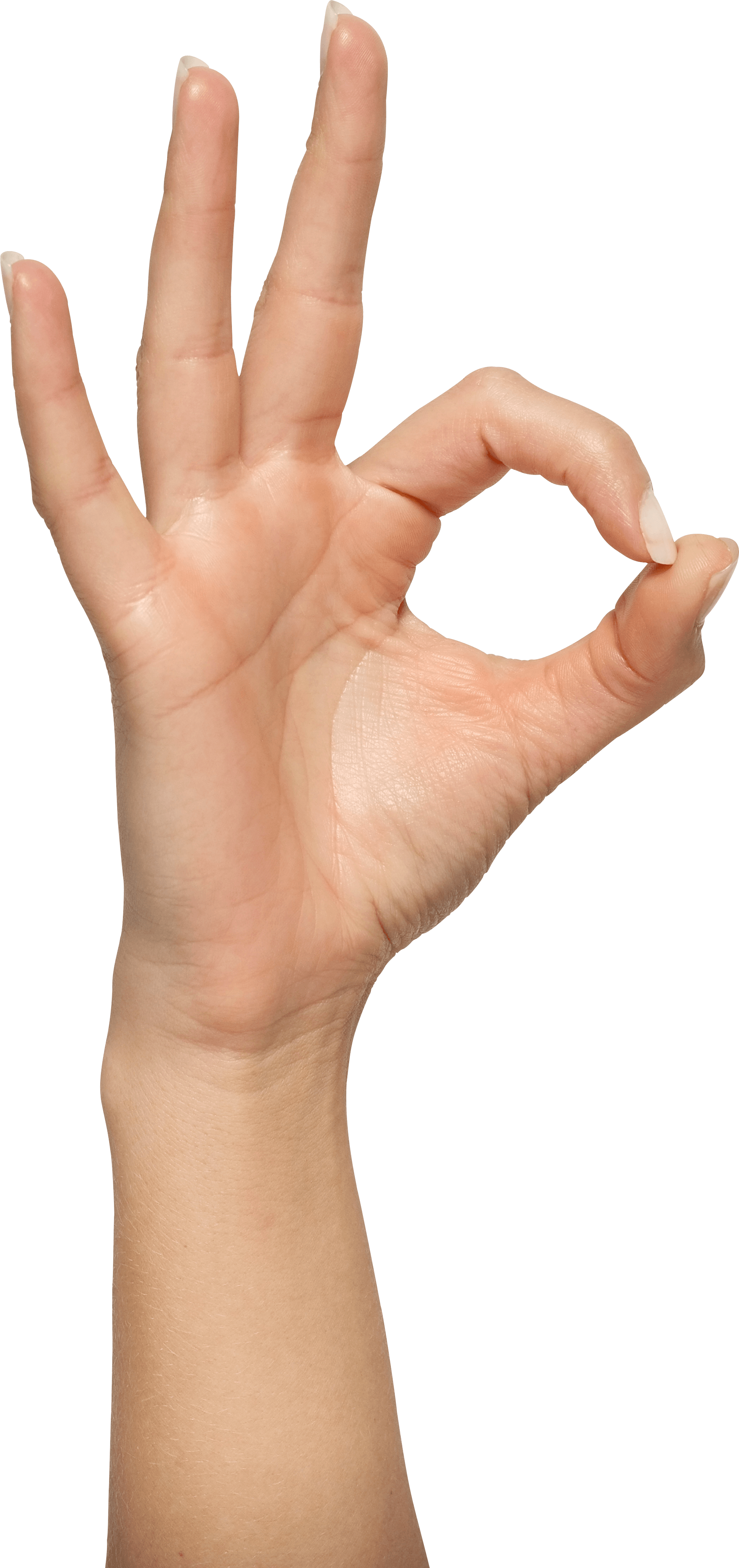 أنثى اليد PNG صورة