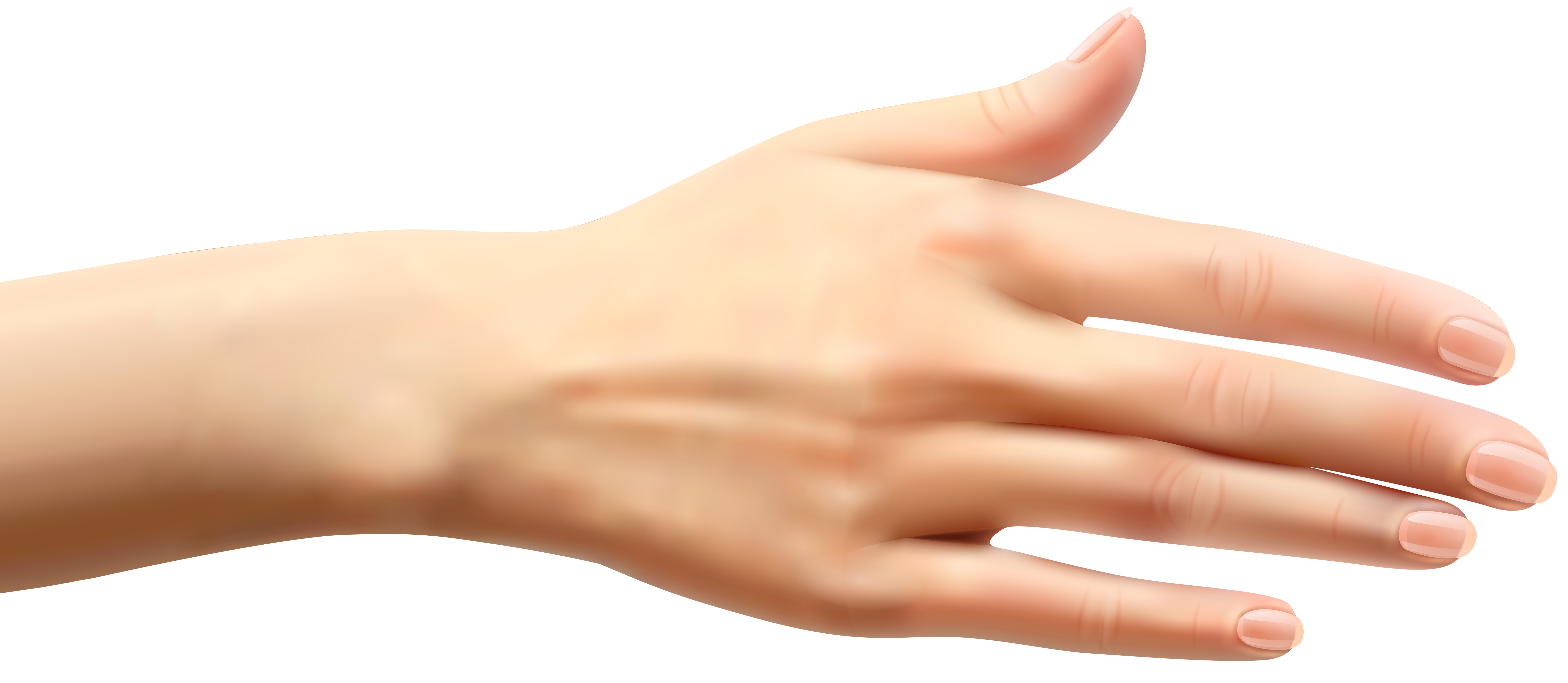 Женская рука PNG фото