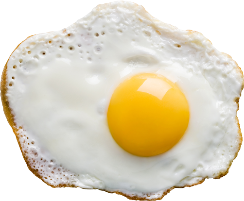 Yarım yumurta kızartılmış PNG indir resmi