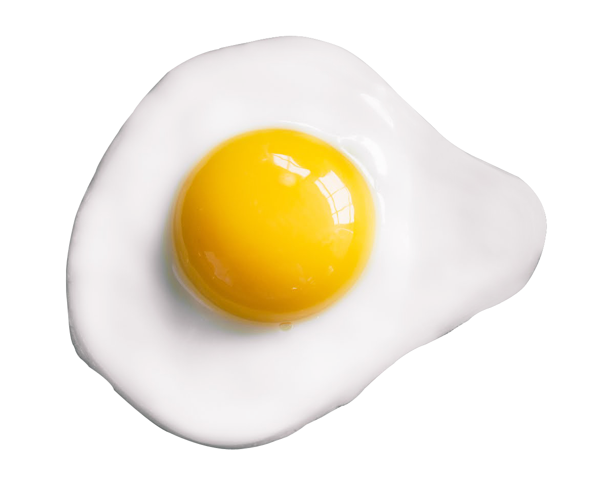 하프 계란 튀김 PNG 무료 다운로드