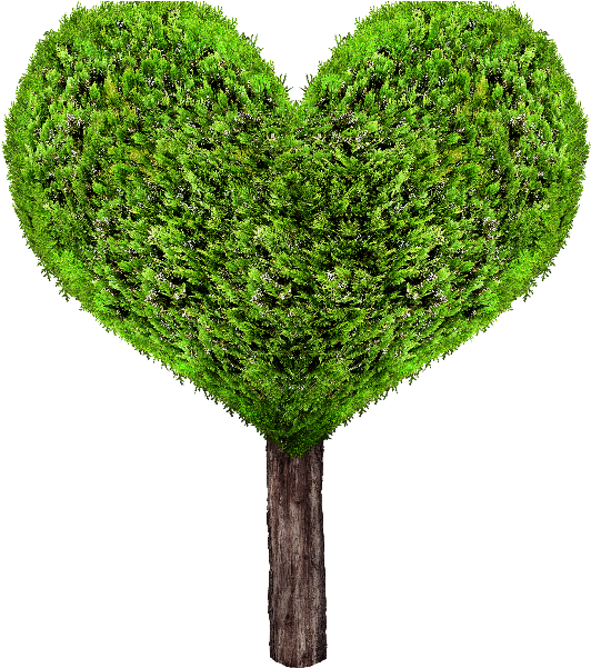 Heart Tree PNG image image
