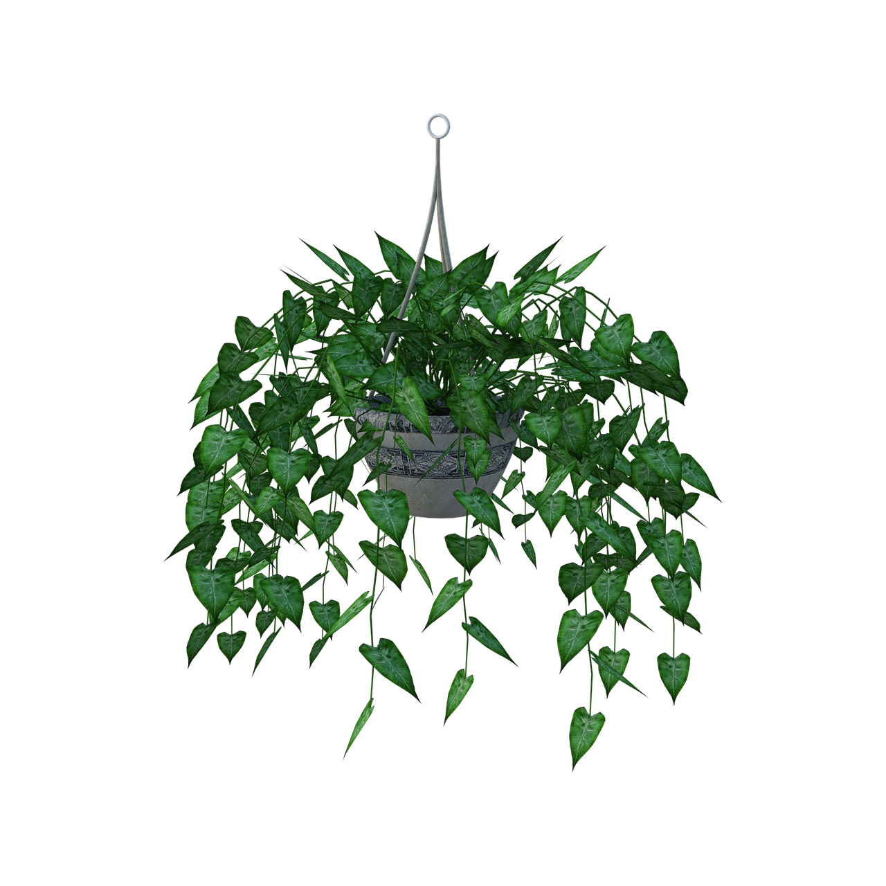 Immagine di PNG Plant Hanging House