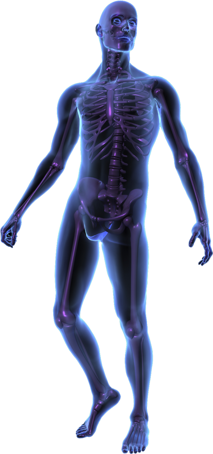 Imagem humana do download do corpo do corpo