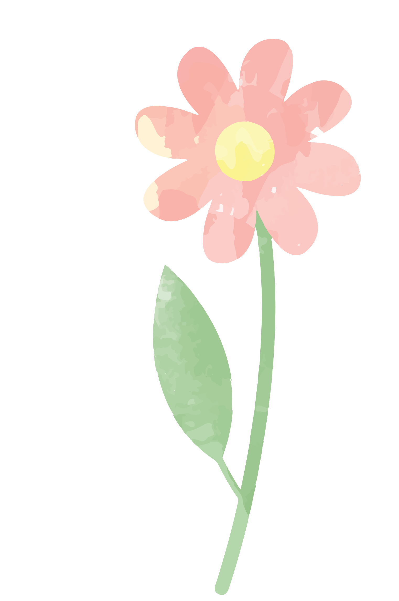 수채화 꽃 그림 PNG 이미지 배경입니다