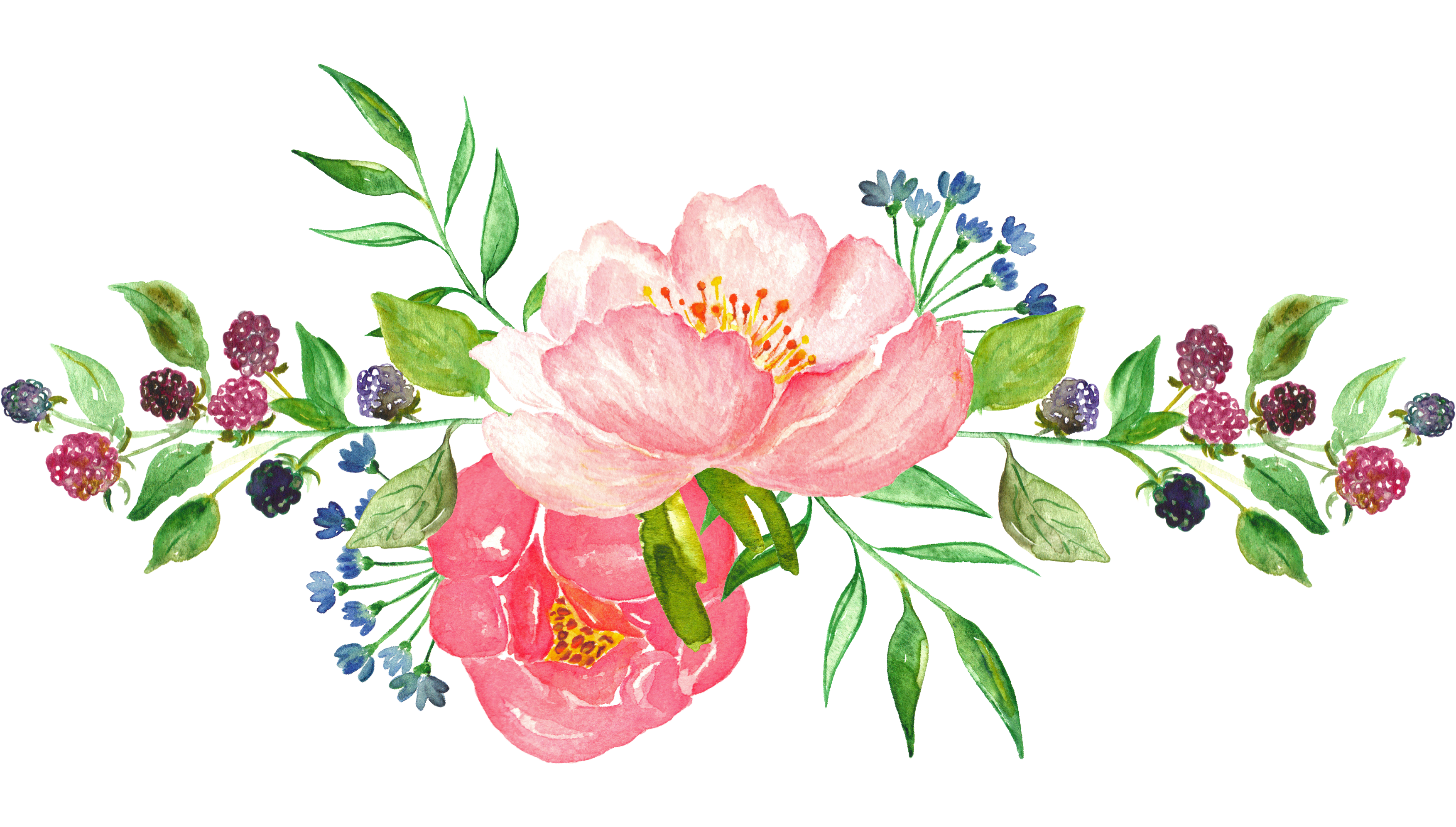 수채화 꽃 그림 PNG 투명 이미지