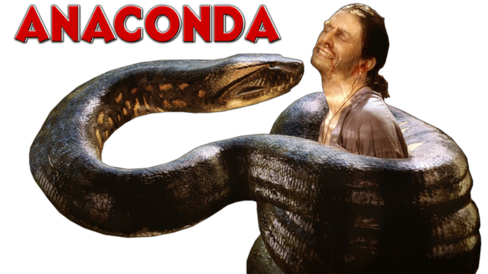 Anaconda PNG-Bildhintergrund