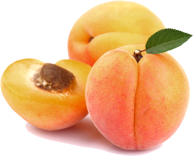 Apricot PNG imagem de alta qualidade