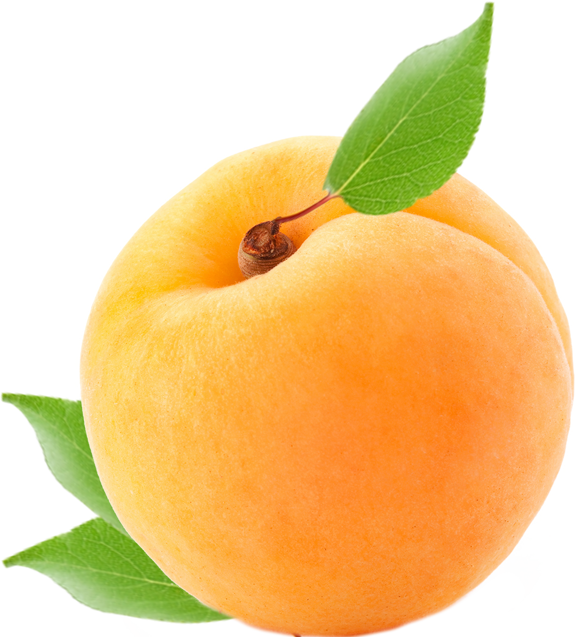 Apricot PNG imagem