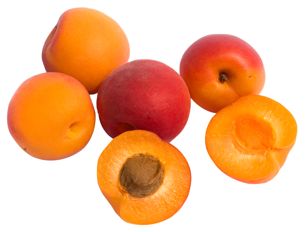 Apricot PNG Gambar Transparan