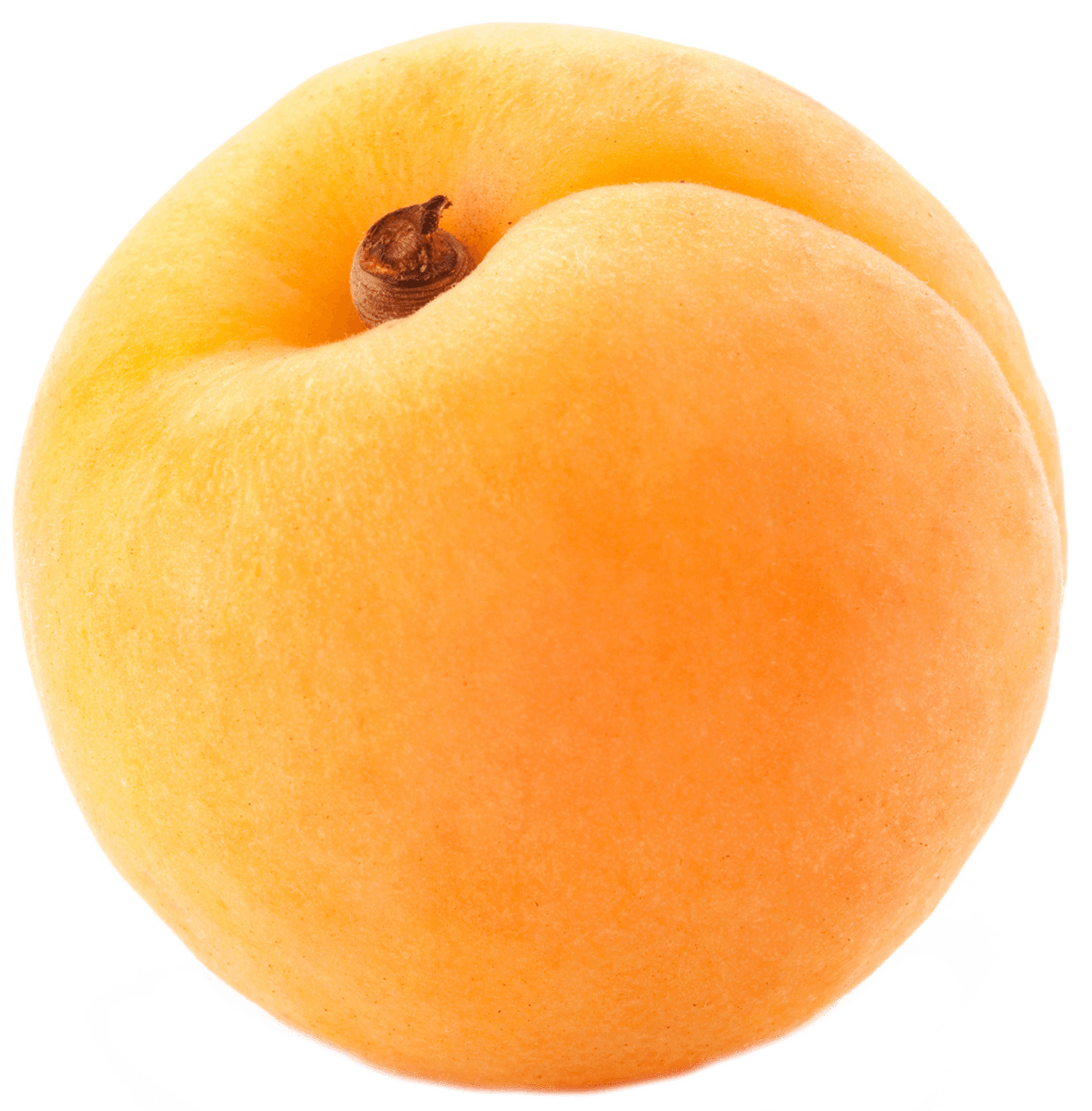 Apricot Imagem transparente